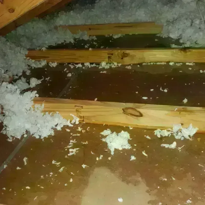 Attic Water Damage in Aberdeen, NC