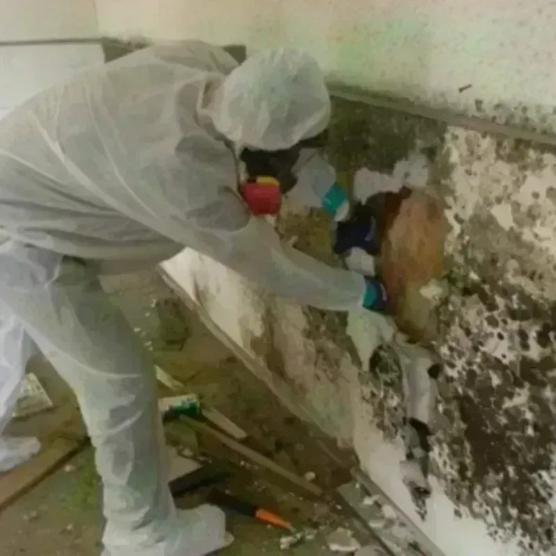 Mold Remediation and Removal in Aberdeen, NC