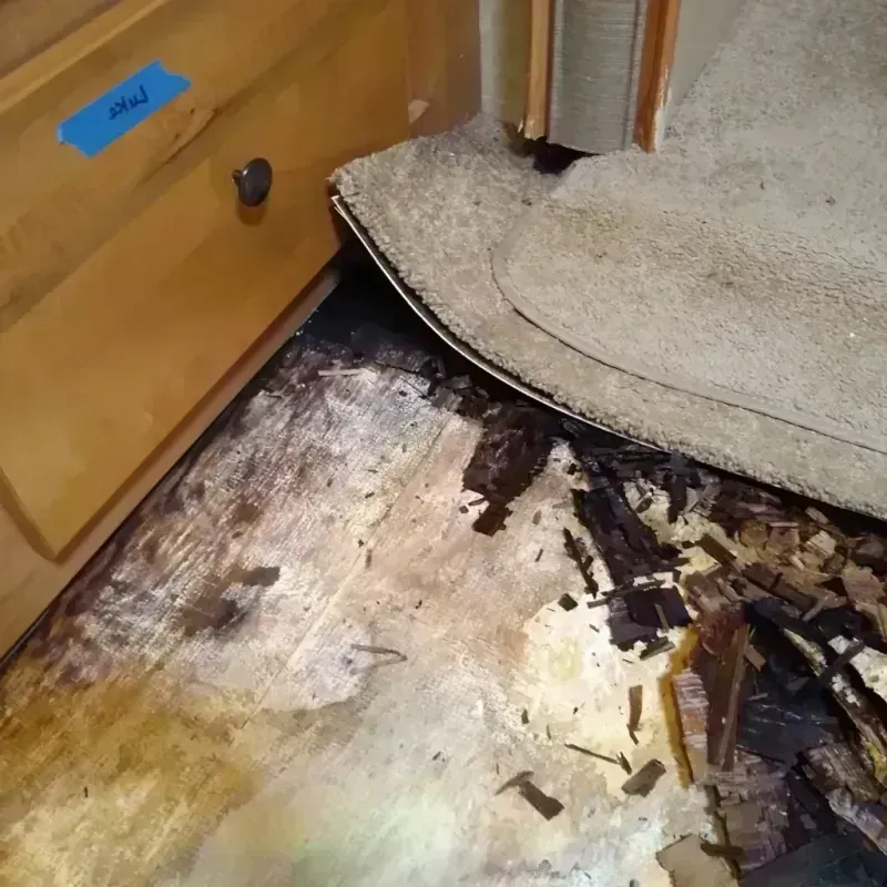 Wood Floor Water Damage in Aberdeen, NC